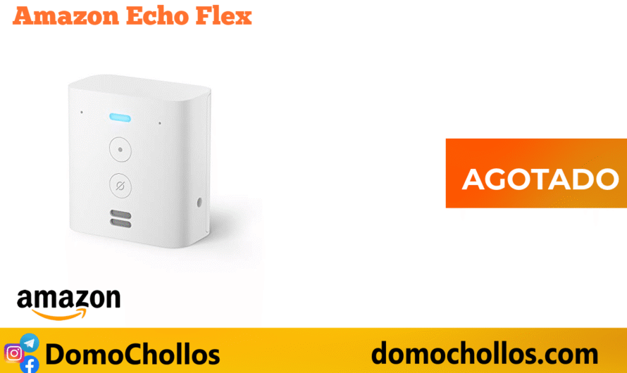 Amazon Echo Flex