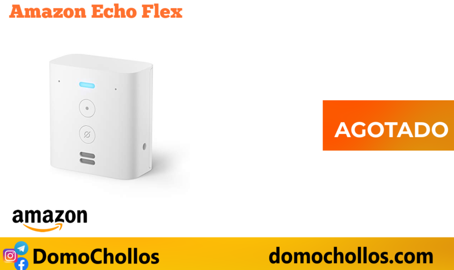 Amazon Echo Flex